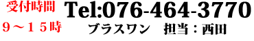 真鍮製の呼び鈴 ブラスワンのベル